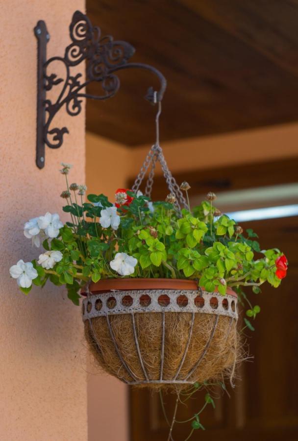 Kuca Za Odmor Poppke Apartment Fericanci Exterior foto